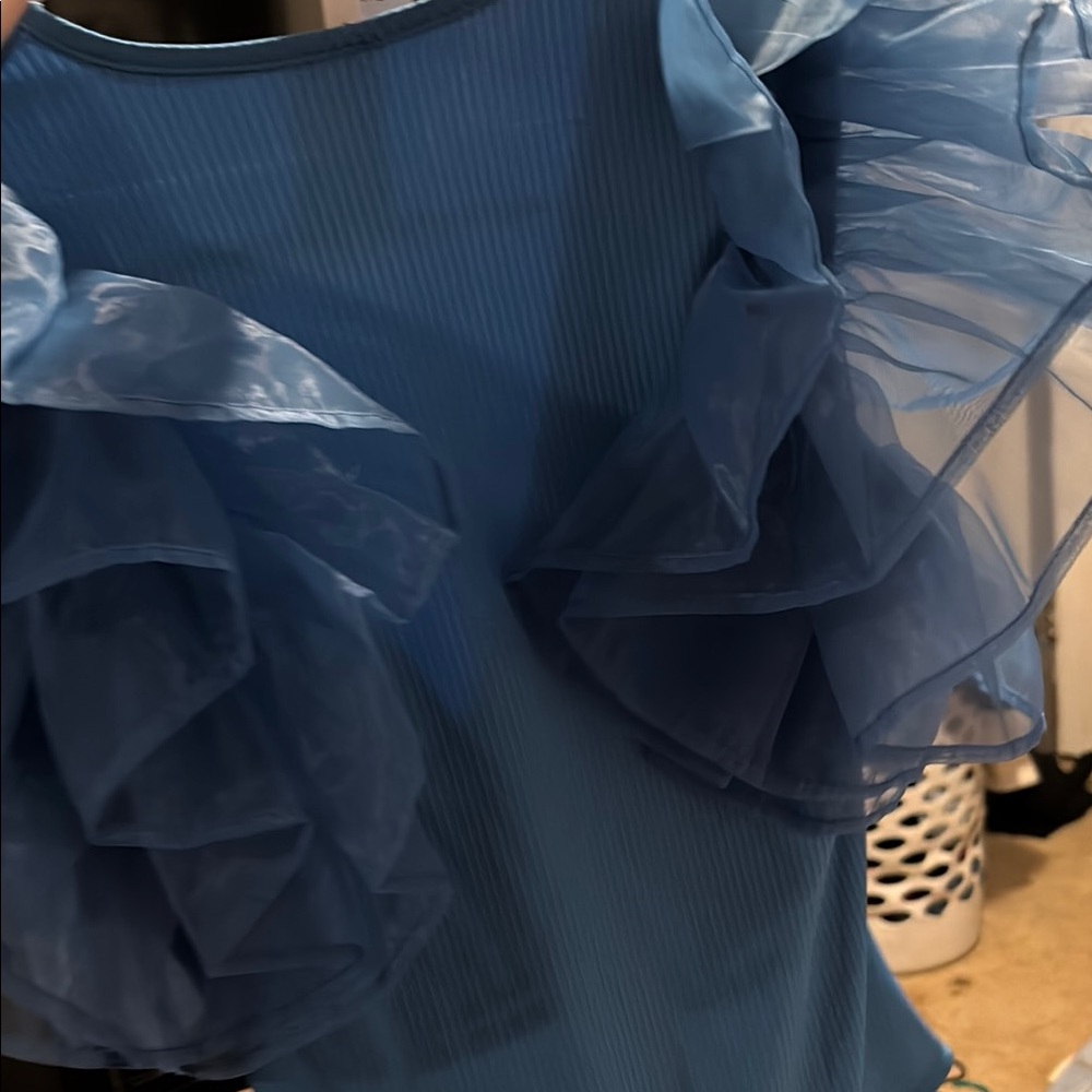 Blue Ruffled Sleeve Top - Picture 3 of 4